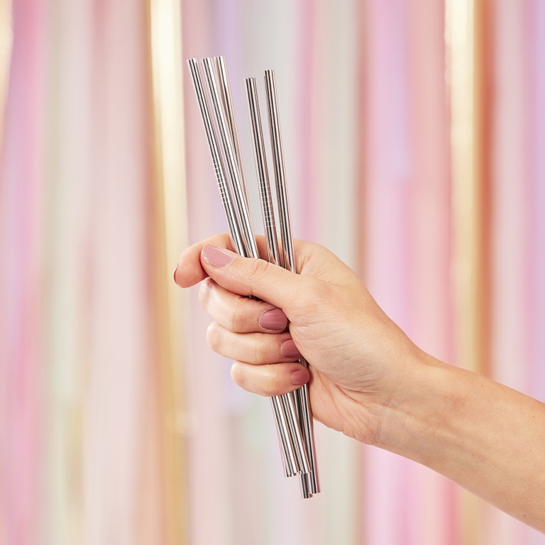 Stainless Steel Straws - Silver (5pcs)