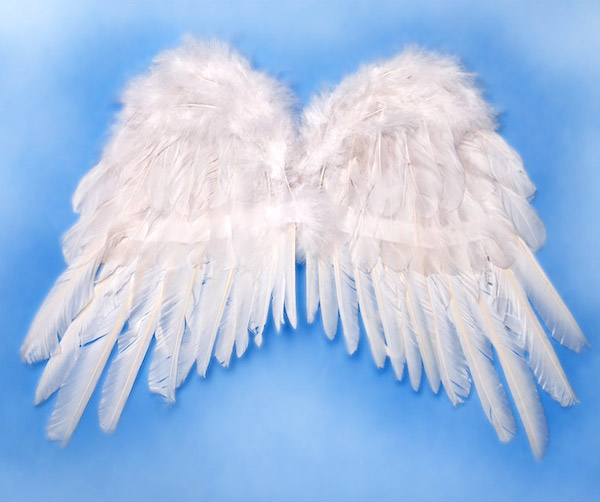Anjelské Krídla - Biela (37cm)