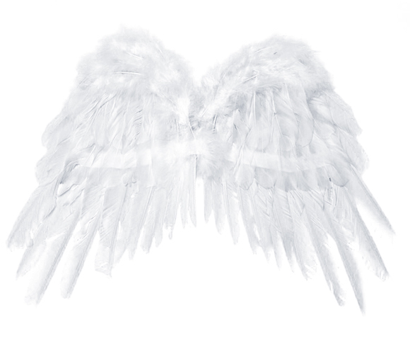 Anjelské Krídla - Biela (37cm)
