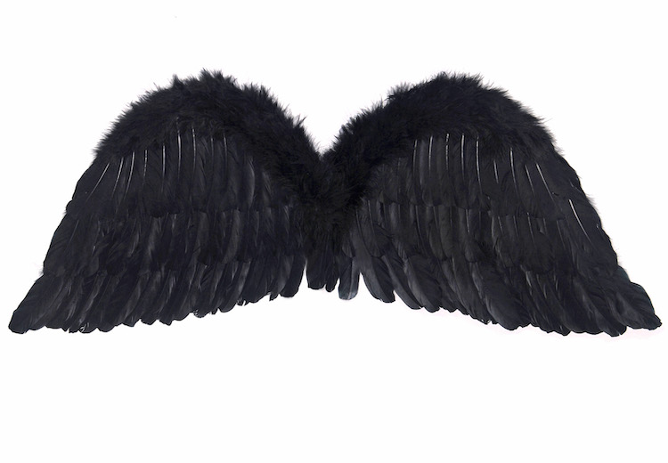 Anjelské Krídla - Čierna (30cm)